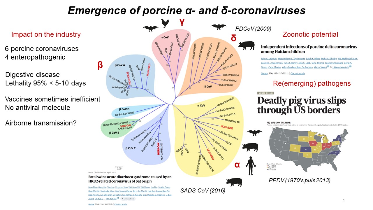 202512 Axe 2 Quentin.jpg 202512 Axe 2 Quentin.jpg