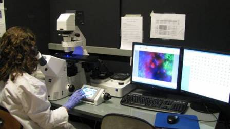Microscope inversé à fluorescence AxioObserver Z1 (Zeiss)