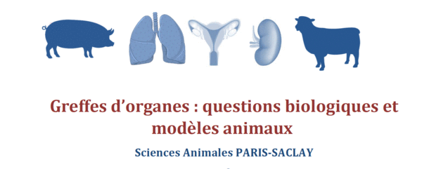 Journee_Greffes_organes_15Avril2021_SAPS_reference